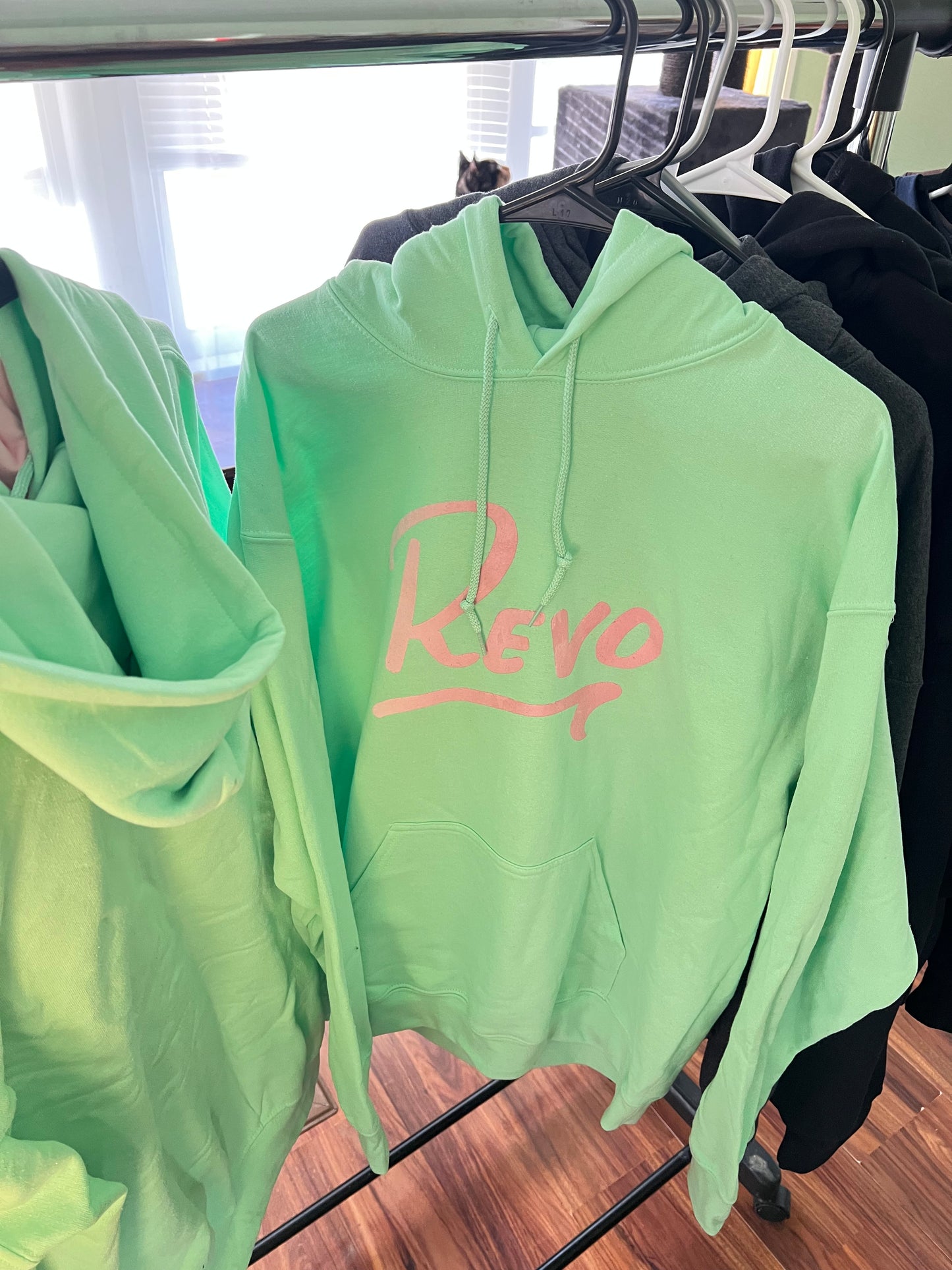 Pistachio Pink Revo Hoodie'